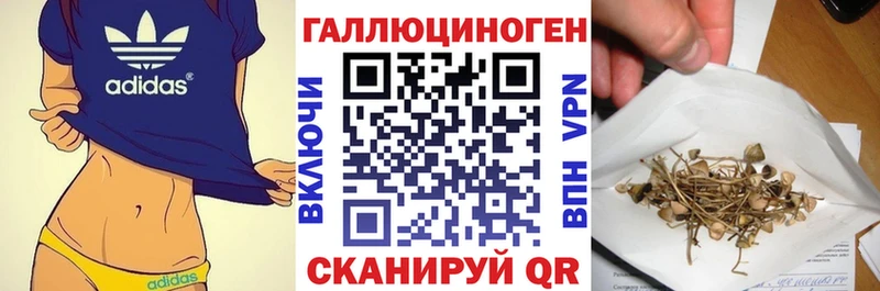 Купить где  Волгореченск  Галлюциногенные грибы ЛСД 